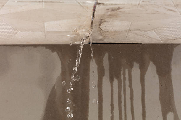 Professional Water Damage Inspection technician working in Alleyton, TX